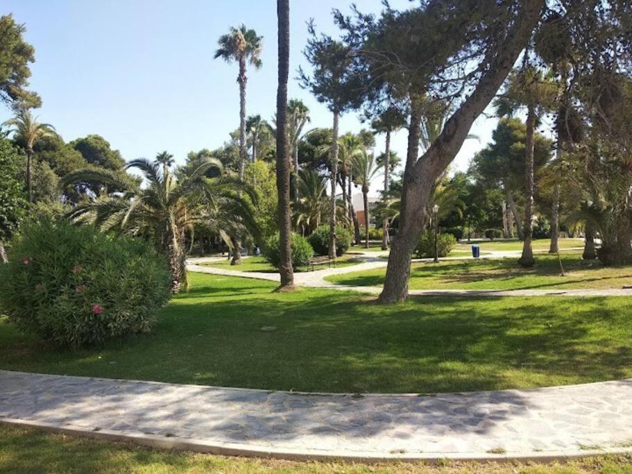 Beautiful Apartment With Patio Torrevieja Bagian luar foto