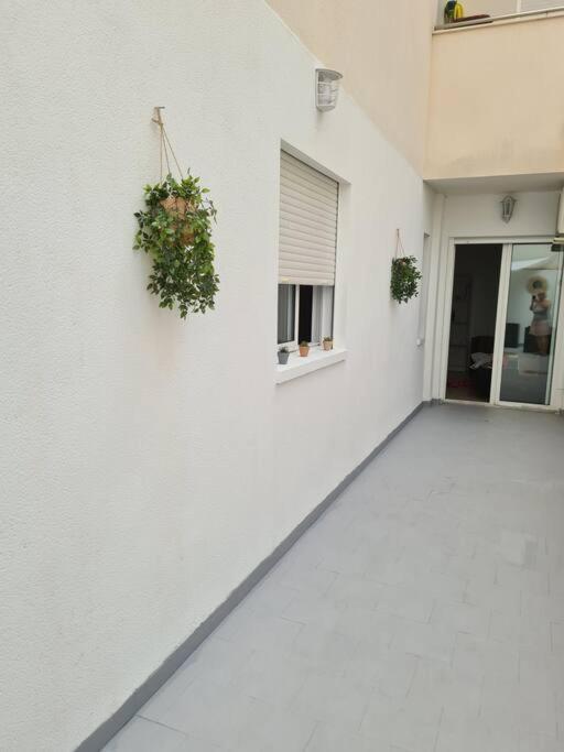 Beautiful Apartment With Patio Torrevieja Bagian luar foto