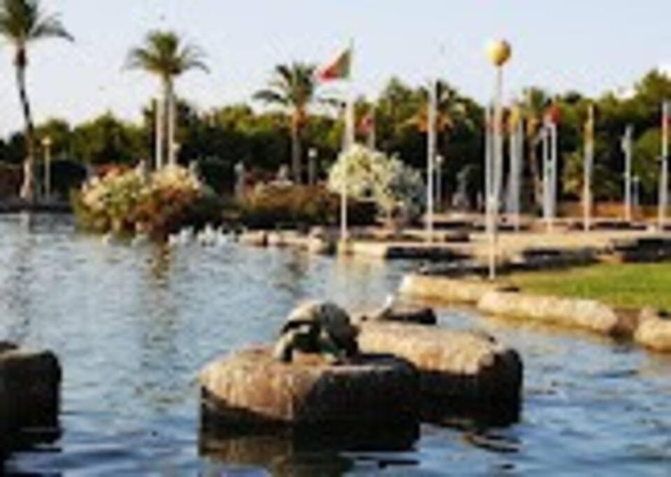 Beautiful Apartment With Patio Torrevieja Bagian luar foto